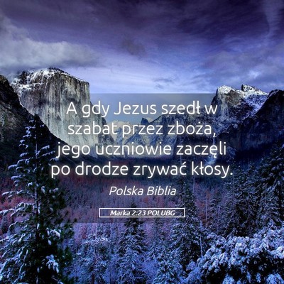 Picture 05 - Marka 2:23 POLUBG - A gdy Jezus szedł w szabat przez zboża, jego - Bible Verse Picture