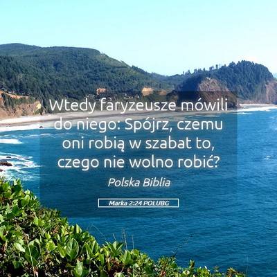 Picture 05 - Marka 2:24 POLUBG - Wtedy faryzeusze mówili do niego: Spójrz, czemu - Bible Verse Picture
