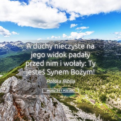 Picture 05 - Marka 3:11 POLUBG - A duchy nieczyste na jego widok padały przed nim - Bible Verse Picture