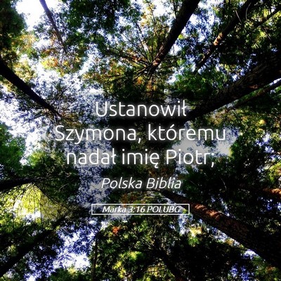 Picture 05 - Marka 3:16 POLUBG - Ustanowił Szymona, któremu nadał imię - Bible Verse Picture