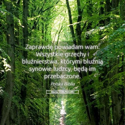 Picture 05 - Marka 3:28 POLUBG - Zaprawdę powiadam wam: Wszystkie grzechy i - Bible Verse Picture