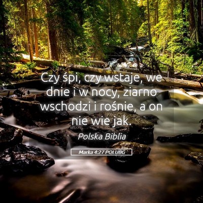 Picture 05 - Marka 4:27 POLUBG - Czy śpi, czy wstaje, we dnie i w nocy, ziarno - Bible Verse Picture