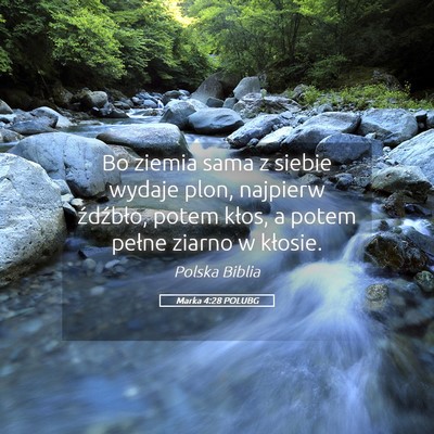 Picture 05 - Marka 4:28 POLUBG - Bo ziemia sama z siebie wydaje plon, najpierw - Bible Verse Picture