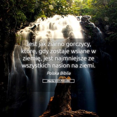 Picture 05 - Marka 4:31 POLUBG - Jest jak ziarno gorczycy, które, gdy zostaje - Bible Verse Picture