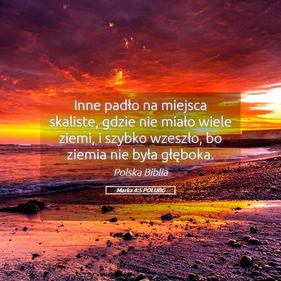 Picture 05 - Marka 4:5 POLUBG - Inne padło na miejsca skaliste, gdzie nie miało - Bible Verse Picture
