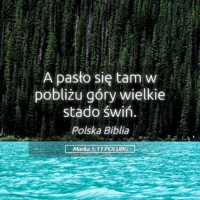 Picture 05 - Marka 5:11 POLUBG - A pasło się tam w pobliżu góry wielkie stado - Bible Verse Picture