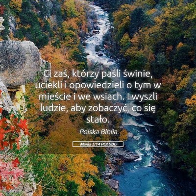 Picture 05 - Marka 5:14 POLUBG - Ci zaś, którzy paśli świnie, uciekli i - Bible Verse Picture