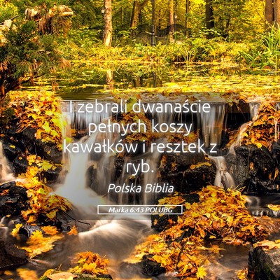 Picture 05 - Marka 6:43 POLUBG - I zebrali dwanaście pełnych koszy kawałków i - Bible Verse Picture