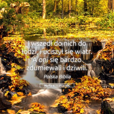 Picture 05 - Marka 6:51 POLUBG - I wszedł do nich do łodzi, i uciszył się - Bible Verse Picture