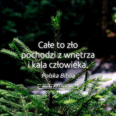 Picture 05 - Marka 7:23 POLUBG - Całe to zło pochodzi z wnętrza i kala - Bible Verse Picture