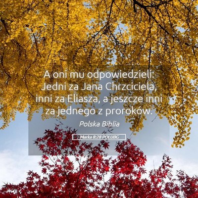 Picture 05 - Marka 8:28 POLUBG - A oni mu odpowiedzieli: Jedni za Jana - Bible Verse Picture