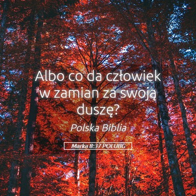 Picture 05 - Marka 8:37 POLUBG - Albo co da człowiek w zamian za swoją - Bible Verse Picture