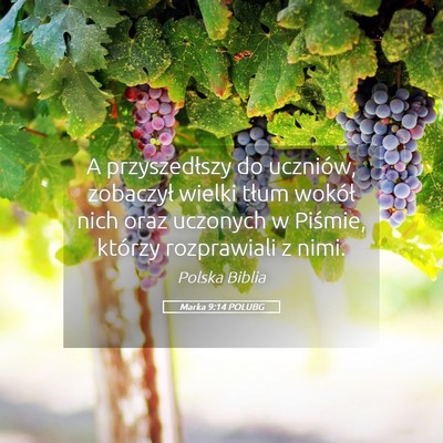 Picture 05 - Marka 9:14 POLUBG - A przyszedłszy do uczniów, zobaczył wielki - Bible Verse Picture