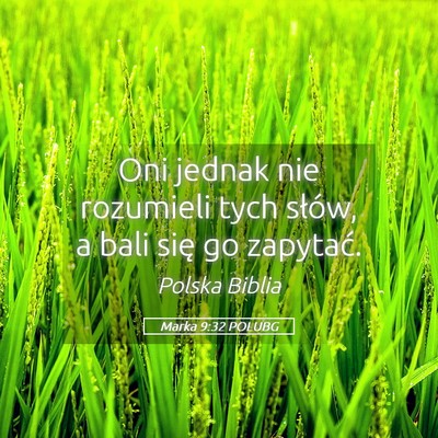 Picture 05 - Marka 9:32 POLUBG - Oni jednak nie rozumieli tych słów, a bali się - Bible Verse Picture