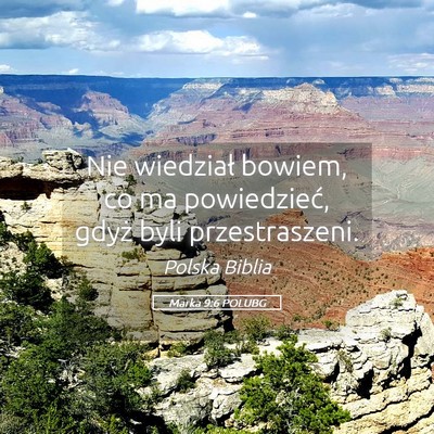 Picture 05 - Marka 9:6 POLUBG - Nie wiedział bowiem, co ma powiedzieć, gdyż - Bible Verse Picture