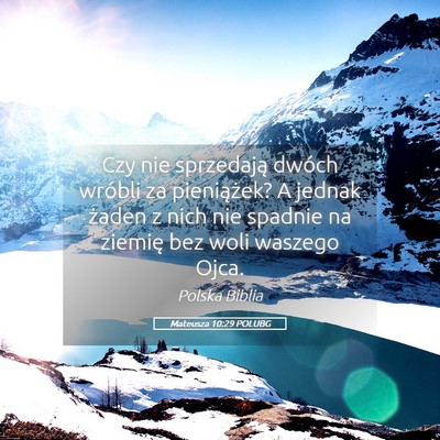Picture 05 - Mateusza 10:29 POLUBG - Czy nie sprzedają dwóch wróbli za pieniążek? - Bible Verse Picture