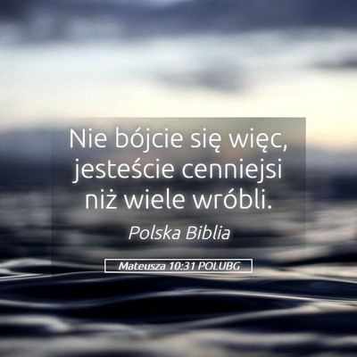 Picture 05 - Mateusza 10:31 POLUBG - Nie bójcie się więc, jesteście cenniejsi niż - Bible Verse Picture