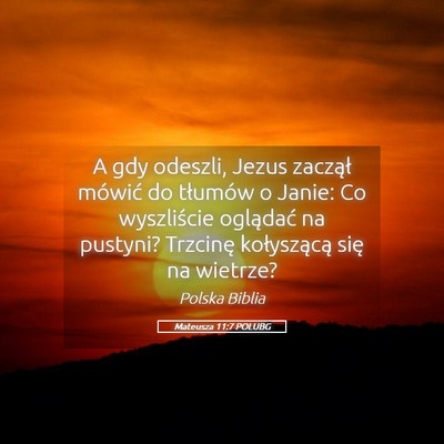 Picture 05 - Mateusza 11:7 POLUBG - A gdy odeszli, Jezus zaczął mówić do tłumów - Bible Verse Picture