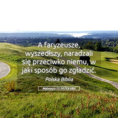 Picture 05 - Mateusza 12:14 POLUBG - A faryzeusze, wyszedłszy, naradzali się - Bible Verse Picture