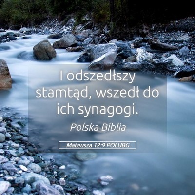 Picture 05 - Mateusza 12:9 POLUBG - I odszedłszy stamtąd, wszedł do ich - Bible Verse Picture