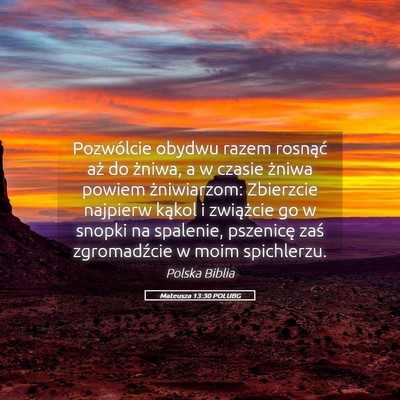 Picture 05 - Mateusza 13:30 POLUBG - Pozwólcie obydwu razem rosnąć aż do żniwa, a - Bible Verse Picture
