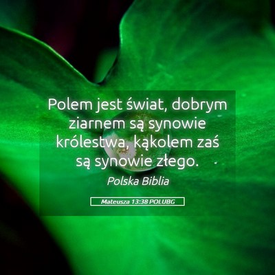 Picture 05 - Mateusza 13:38 POLUBG - Polem jest świat, dobrym ziarnem są synowie - Bible Verse Picture