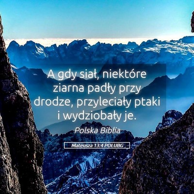 Picture 05 - Mateusza 13:4 POLUBG - A gdy siał, niektóre ziarna padły przy drodze, - Bible Verse Picture