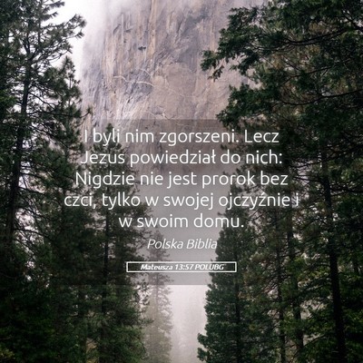 Picture 05 - Mateusza 13:57 POLUBG - I byli nim zgorszeni. Lecz Jezus powiedział do - Bible Verse Picture