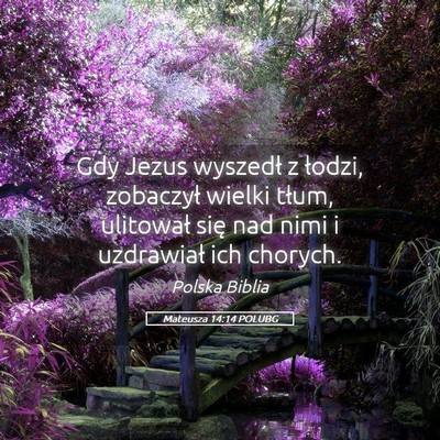 Picture 05 - Mateusza 14:14 POLUBG - Gdy Jezus wyszedł z łodzi, zobaczył wielki - Bible Verse Picture