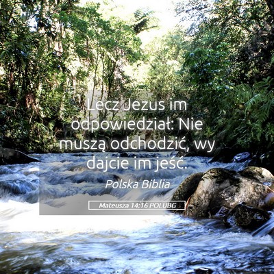 Picture 05 - Mateusza 14:16 POLUBG - Lecz Jezus im odpowiedział: Nie muszą - Bible Verse Picture