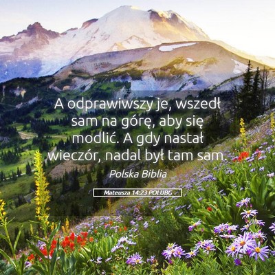 Picture 05 - Mateusza 14:23 POLUBG - A odprawiwszy je, wszedł sam na górę, aby się - Bible Verse Picture