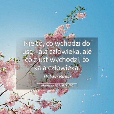 Picture 05 - Mateusza 15:11 POLUBG - Nie to, co wchodzi do ust, kala człowieka, ale - Bible Verse Picture