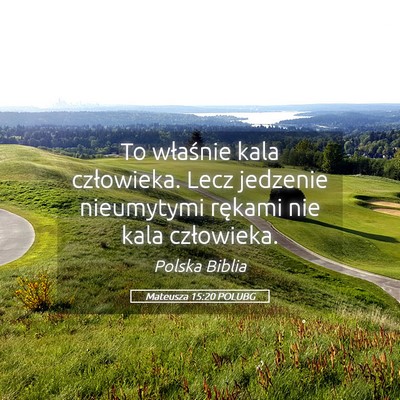 Picture 05 - Mateusza 15:20 POLUBG - To właśnie kala człowieka. Lecz jedzenie - Bible Verse Picture