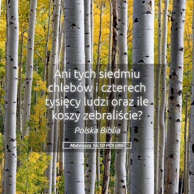 Picture 05 - Mateusza 16:10 POLUBG - Ani tych siedmiu chlebów i czterech tysięcy - Bible Verse Picture