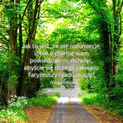 Picture 05 - Mateusza 16:11 POLUBG - Jak to jest, że nie rozumiecie, iż nie o - Bible Verse Picture