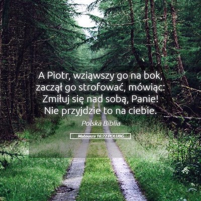 Picture 05 - Mateusza 16:22 POLUBG - A Piotr, wziąwszy go na bok, zaczął go - Bible Verse Picture