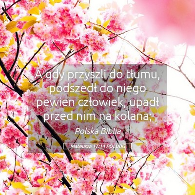 Picture 05 - Mateusza 17:14 POLUBG - A gdy przyszli do tłumu, podszedł do niego - Bible Verse Picture