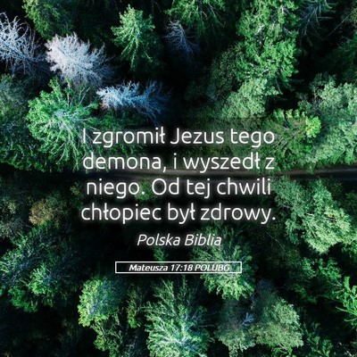 Picture 05 - Mateusza 17:18 POLUBG - I zgromił Jezus tego demona, i wyszedł z niego. - Bible Verse Picture