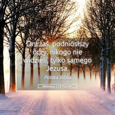 Picture 05 - Mateusza 17:8 POLUBG - Oni zaś, podniósłszy oczy, nikogo nie - Bible Verse Picture