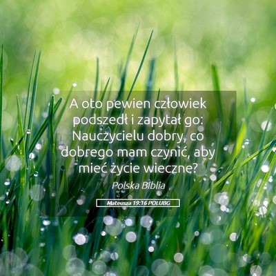 Picture 05 - Mateusza 19:16 POLUBG - A oto pewien człowiek podszedł i zapytał go: - Bible Verse Picture