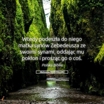 Picture 05 - Mateusza 20:20 POLUBG - Wtedy podeszła do niego matka synów Zebedeusza - Bible Verse Picture