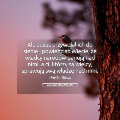 Picture 05 - Mateusza 20:25 POLUBG - Ale Jezus przywołał ich do siebie i - Bible Verse Picture