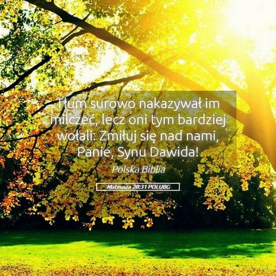 Picture 05 - Mateusza 20:31 POLUBG - Tłum surowo nakazywał im milczeć, lecz oni tym - Bible Verse Picture