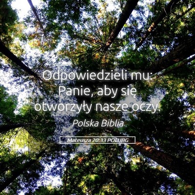 Picture 05 - Mateusza 20:33 POLUBG - Odpowiedzieli mu: Panie, aby się otworzyły - Bible Verse Picture