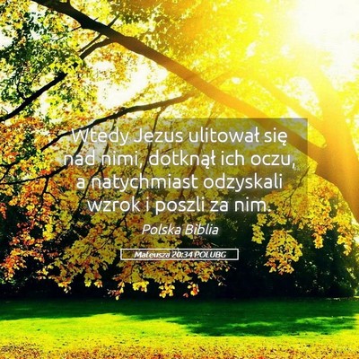 Picture 05 - Mateusza 20:34 POLUBG - Wtedy Jezus ulitował się nad nimi, dotknął - Bible Verse Picture