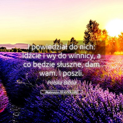 Picture 05 - Mateusza 20:4 POLUBG - I powiedział do nich: Idźcie i wy do winnicy, a - Bible Verse Picture