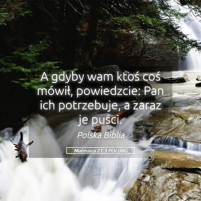 Picture 05 - Mateusza 21:3 POLUBG - A gdyby wam ktoś coś mówił, powiedzcie: Pan - Bible Verse Picture