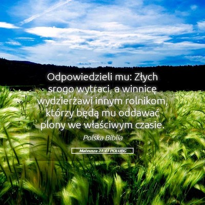 Picture 05 - Mateusza 21:41 POLUBG - Odpowiedzieli mu: Złych srogo wytraci, a - Bible Verse Picture