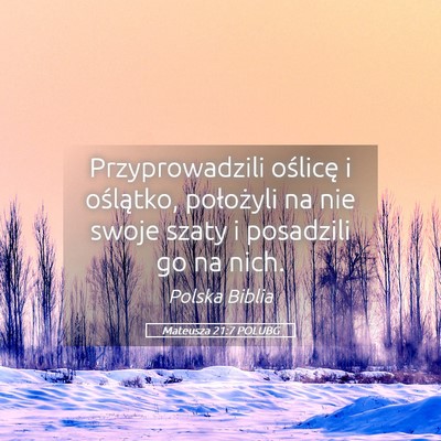 Picture 05 - Mateusza 21:7 POLUBG - Przyprowadzili oślicę i oślątko, położyli - Bible Verse Picture