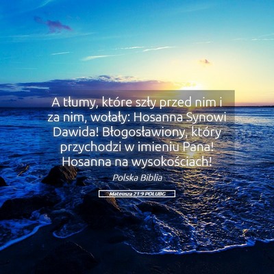 Picture 05 - Mateusza 21:9 POLUBG - A tłumy, które szły przed nim i za nim, - Bible Verse Picture